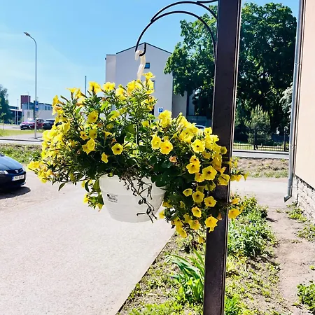 Tallinnhousing Studio For 4 With Free Parking